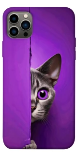 Чохол на Apple iPhone 12 Pro (6.1") Кіт-підглядач фото 1 з 1