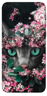 Чехол на Samsung Galaxy S10e Кот в цветах фото 1 из 1