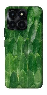 Чехол на Huawei Honor X6a Листья фото 1 из 1