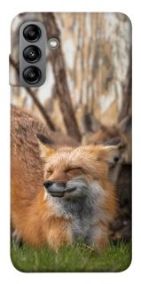Чохол на Samsung Galaxy A04s Лисиця фото 1 з 1