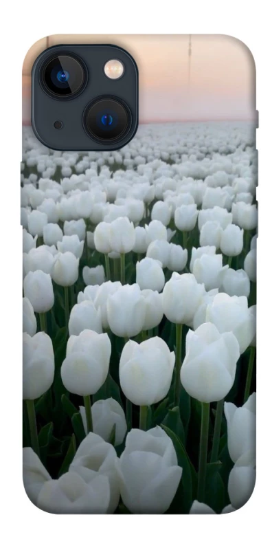 Чохол на Apple iPhone 13 mini (5.4") Flowers v1 фото 1 з 1