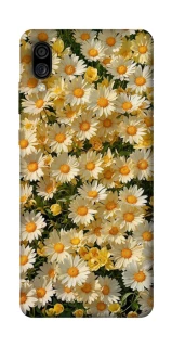 Чохол на ZTE Blade A5 (2020) Camomile фото 1 з 1