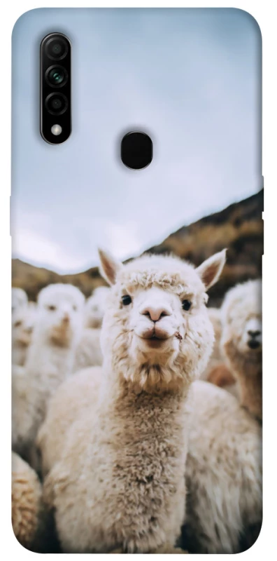 Чехол на Oppo A31 Лама фото 1 из 1