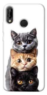 Чохол на Huawei P20 Lite Гарні котики фото 1 з 1