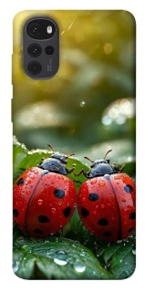 Чехол на Motorola Moto G22 Flowers v23 фото 1 из 1