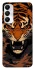 Чохол на Samsung Galaxy A05s cool tiger фото 1 з 1