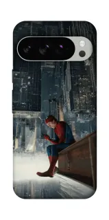 Чехол на Google Pixel 10 Pro Spider Man ver.5 фото 1 из 1