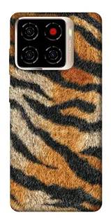 Чохол на ZTE Blade A56 Tiger фото 1 з 1