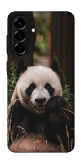 Чехол на Samsung Galaxy A57 5G Панда фото 1 из 1