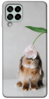 Чохол на Samsung Galaxy M53 5G Bunny фото 1 з 1