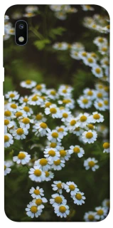 Чехол на Samsung Galaxy A10 (A105F) Ромашки v13 фото 1 из 1