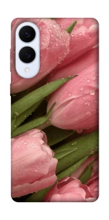 Чохол на Samsung Galaxy S25 Edge Beauty фото 1 Чохол на Samsung Galaxy S25 Edge Beauty фото 1 з 1