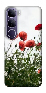 Чохол на Vivo Y300 Поле маків фото 1 з 1