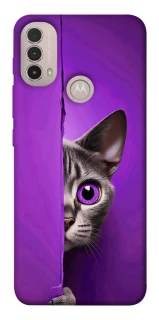 Чехол на Motorola Moto E40 Кот-подглядыватель фото 1 Чехол на Motorola Moto E40 Кот-подглядыватель фото 1 из 1