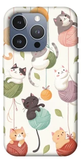 Чохол на Apple iPhone 16 Pro Max Funny Kittens фото 1 з 1