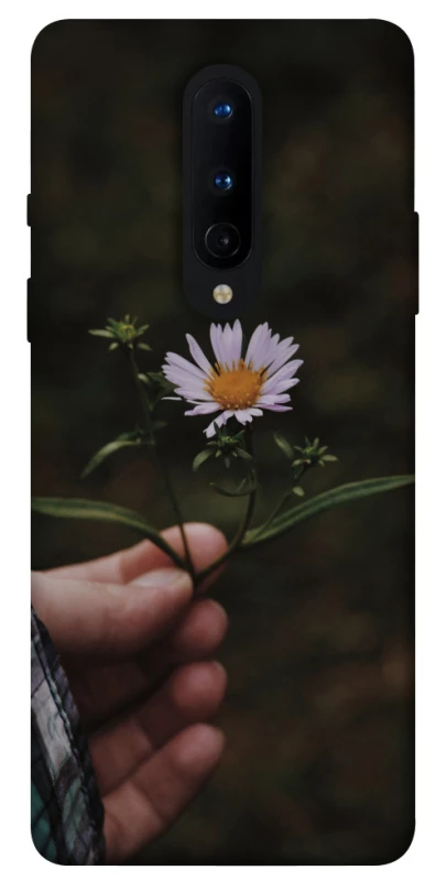 Чехол на OnePlus 8 Ромашка v4 фото 1 из 1