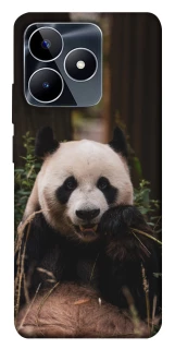 Чохол на Realme C53 Панда фото 1 з 1