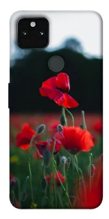 Чехол на Google Pixel 5A Мак фото 1 из 1