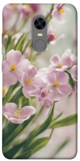 Чехол на Xiaomi Redmi 5 Plus / Redmi Note 5 (Single Camera) Spring фото 1 из 1