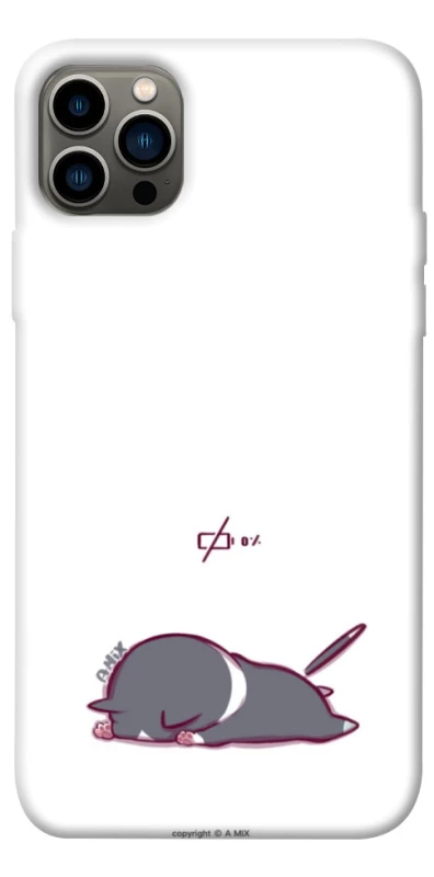 Чохол на Apple iPhone 12 Pro (6.1") The battery is dead фото 1 з 1