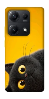 Чохол на Xiaomi Redmi Note 14S This is Cat фото 1 з 1