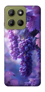 Чехол на Motorola Moto G15 4G Bunch of grapes фото 1 из 1