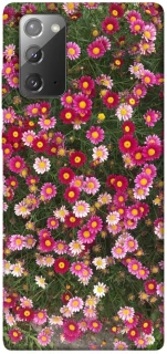 Чохол на Samsung Galaxy Note 20 Flowers v8 фото 1 з 1