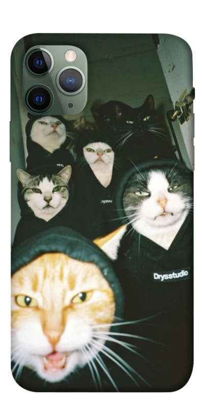 Чохол на Apple iPhone 11 Pro (5.8") Сatsss фото 1 з 1