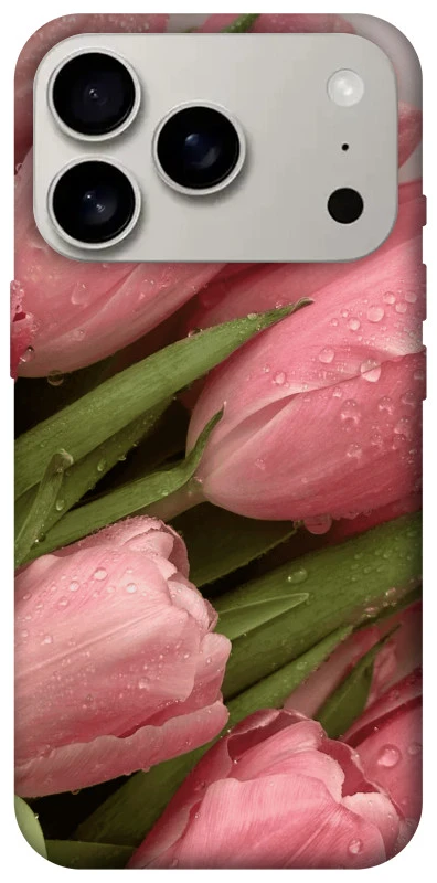 Чохол на Apple iPhone 17 Pro (6.3") Beauty фото 1 з 1