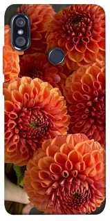 Чохол на Xiaomi Redmi Note 5 Pro / Note 5 (AI Dual Camera) Flower1 фото 1 з 1