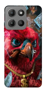 Чохол на Motorola Moto G15 4G Папуга фото 1 з 1