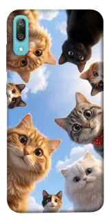 Чехол на Huawei Y6 Pro (2019) Cats фото 1 из 1