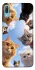 Чехол на Huawei Y6 Pro (2019) Cats фото 1 из 1