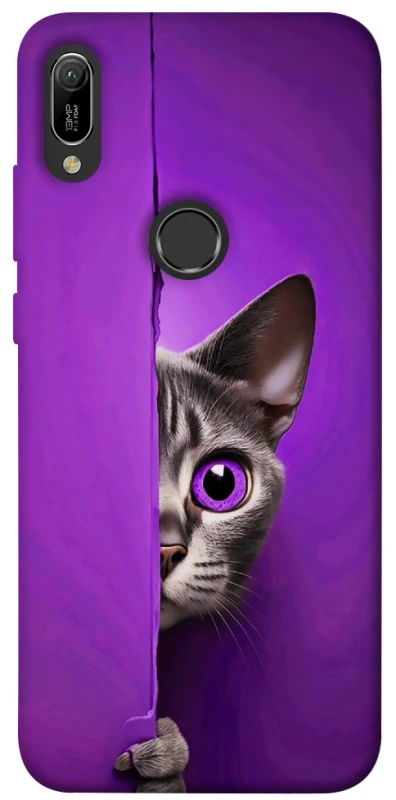 Чохол на Huawei Y6 (2019) Кіт-підглядач фото 1 з 1