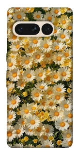 Чехол на Google Pixel 7 Pro Camomile фото 1 из 1