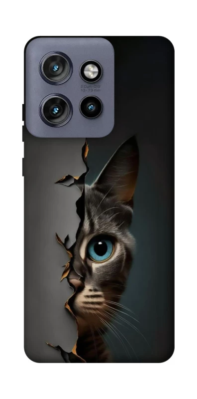 Чохол на Motorola Edge 50 Neo Кіт-підглядач v2 фото 1 з 1