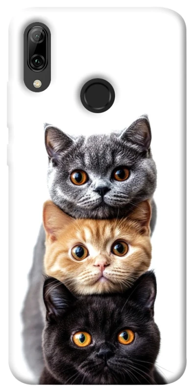 Чохол на Huawei P Smart (2019) Гарні котики фото 1 з 1