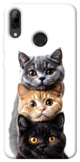 Чохол на Huawei P Smart (2019) Гарні котики фото 1 з 1
