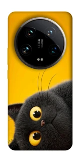 Чохол на Xiaomi 14 Ultra This is Cat фото 1 з 1