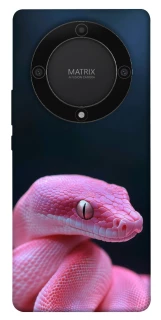 Чехол на Huawei Magic5 Lite Розовая Змея фото 1 из 1