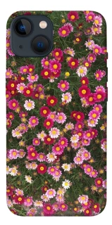 Чохол на Apple iPhone 13 (6.1") Flowers v8 фото 1 з 1