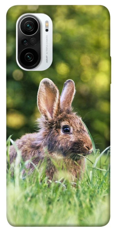 Чехол на Xiaomi Redmi K40 / K40 Pro / K40 Pro+ / Poco F3 Кролики фото 1 из 1