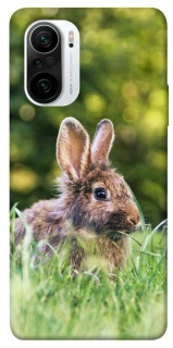 Чехол на Xiaomi Redmi K40 / K40 Pro / K40 Pro+ / Poco F3 Кролики фото 1 из 1