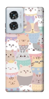 Чехол на Motorola Edge 50 Fusion Funny Kittens ver.2 фото 1 из 1