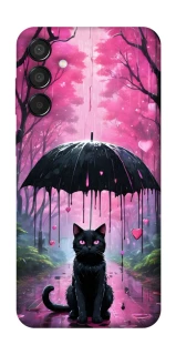 Чохол на Samsung Galaxy M15 5G Black cat фото 1 з 1