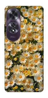 Чехол на Oppo A60 Camomile фото 1 из 1