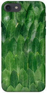 Чохол на Apple iPhone 7 / 8 (4.7") Листя фото 1 з 1