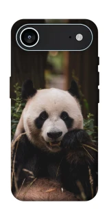 Чехол на Apple iPhone 17 Air (6.5") Панда фото 1 из 1