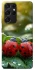Чехол на Samsung Galaxy S21 Ultra Flowers v23 фото 1 из 1