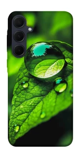 Чехол на Samsung Galaxy A55 Flowers v16 фото 1 из 1